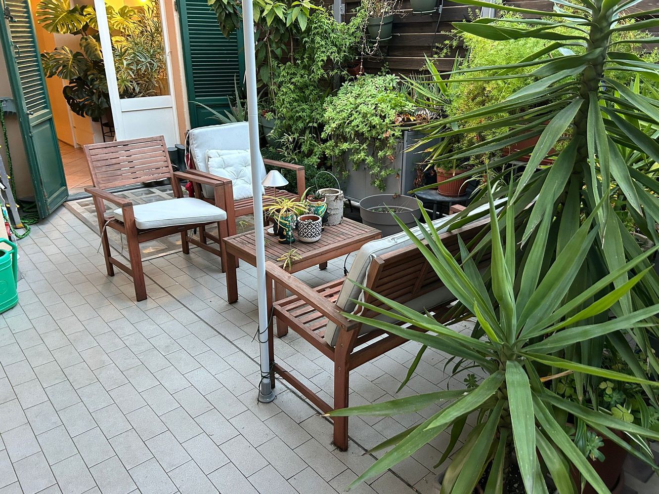 Terrazza con piante tropicali
